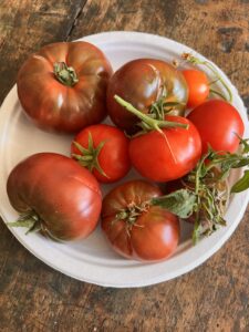  Gifts from the Garden: Free Apples, Homegrown Tomatoes, and Acts of Kindness
