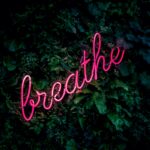 A neon sign that says breathe in front of some bushes.