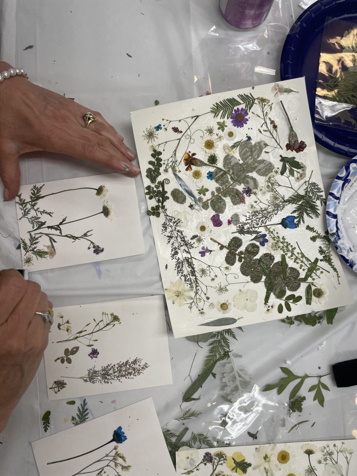 It’s All About the Light: Meditation in Art, Asana, and Yoga Nidra