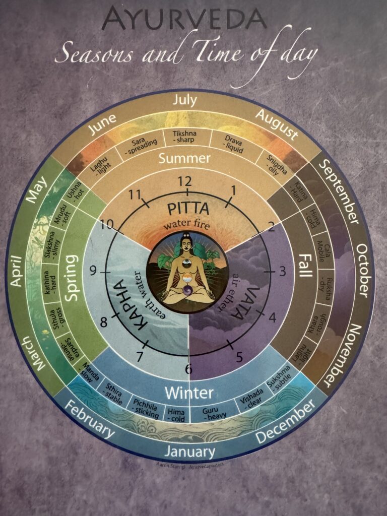 Ayurveda and the Seasons